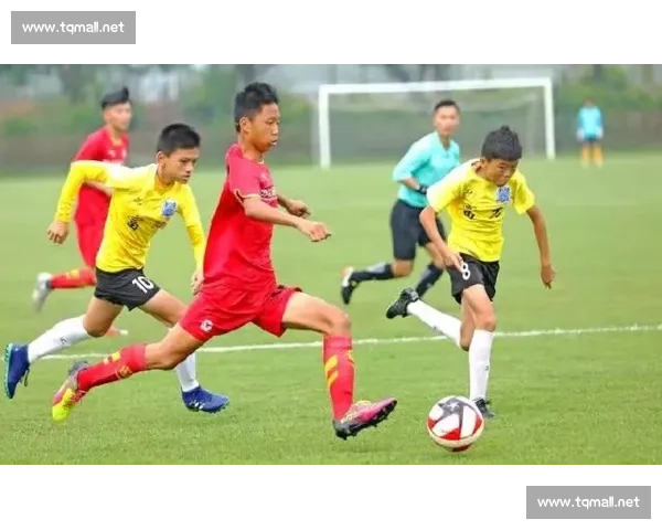 足球发展规划与青训体系建设的融合路径与实施策略研究