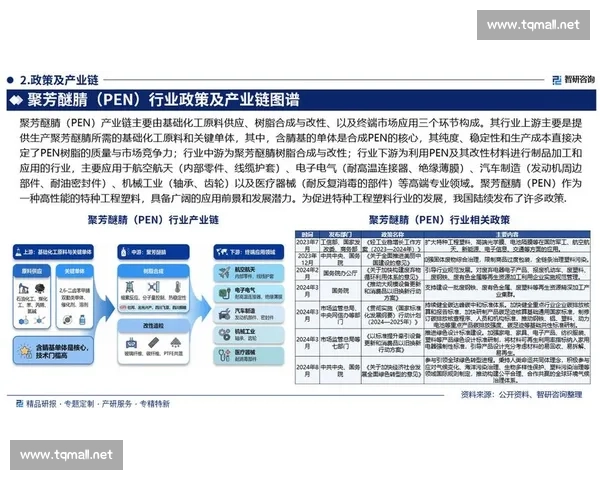 分析师团深度解读市场趋势与投资机会全景分析